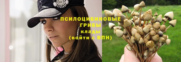 круглые Надым